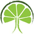 Limetree Mortgage Solutions logo